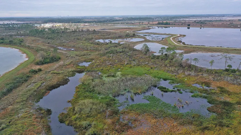 Babcock Ranch Wetland — Basin Excavation