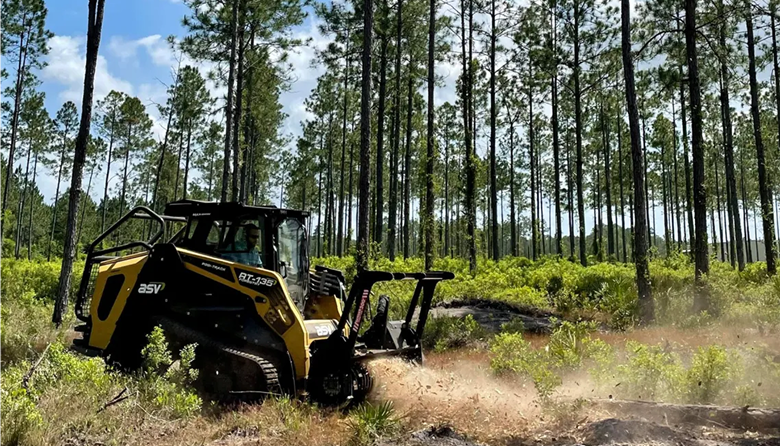 Land Clearing Fort Myers